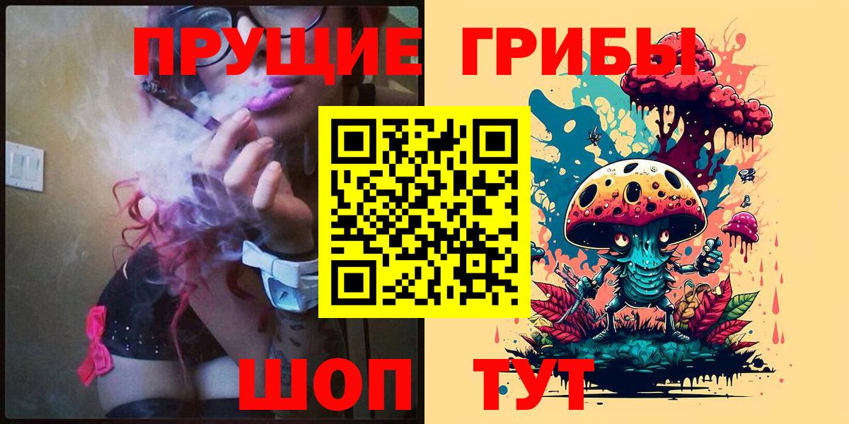 Галлюциногенные грибы Psilocybe  Вход с VPN  Абакан 