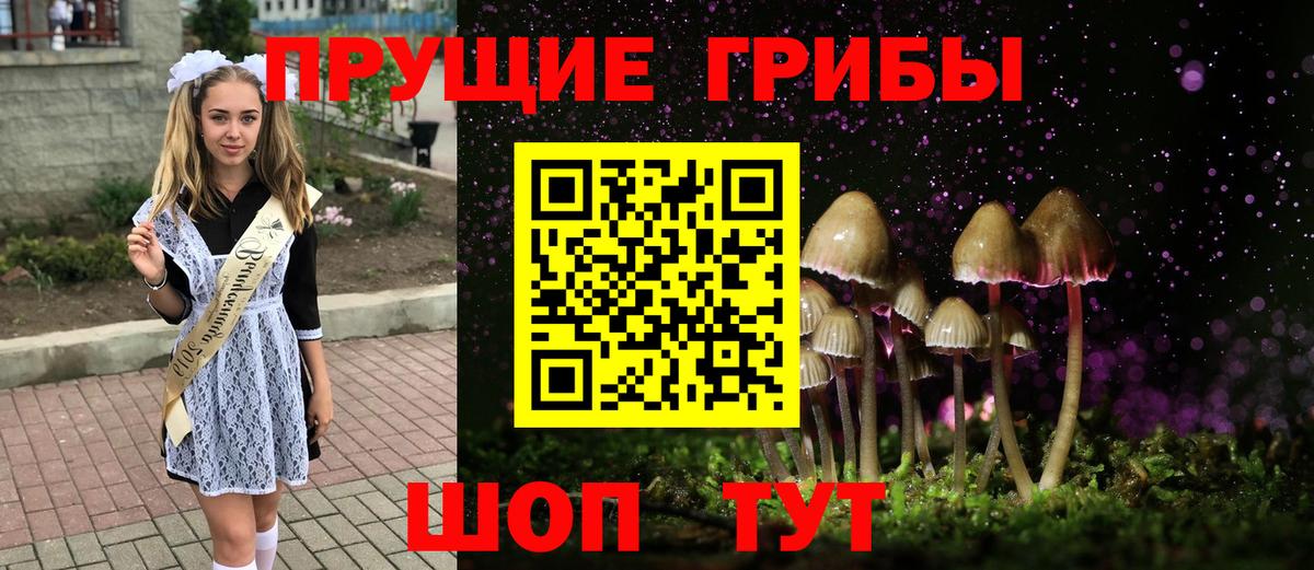 Галлюциногенные грибы мухоморы Абакан